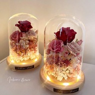 夜燈款永生玻璃罩鐘花