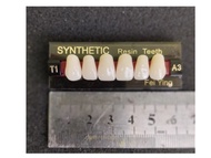 Gigi Tiruan Akrilik | YP Dental | Depan Atas | Gigi Anterior | 6 Pcs Per Papan
