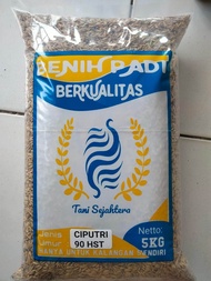 Benih padi Unggul CIPUTRI / Ciherang malay panjang Kemasan 5kg