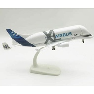 Airbus Beluga A330-700L Diecast display model 20cm long