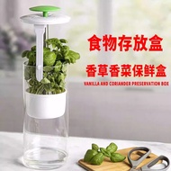Coriander Fresh-keeping Box Green Onion Ginger Garlic Storage Box Vanilla Vegetable Herbal Fresh-kee