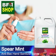 Antibacterial Hand Sanitizer Spray with 75% Alcohol (ABHSS) - mint - Spear Mint - 5L