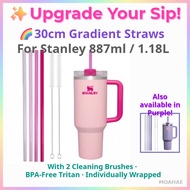 Gradient Straw Set for Stanley 887ml/1.18L – 30cm Reusable Straws + 2 Cleaning Brushes (Purple/Pink)
