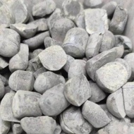 10 PCS TRICON BELAH 10 MM WIDIA ASLI BAHAN MATA BOR SUMUR PENEMBUS BATU HITAM