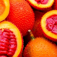 （READY STOCK)Benih Buah Gac/Gac Fruit seeds/木鳖果种子/10 pcs