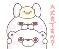 【可7-11、全家繳費】日本限定貼圖 － Rabbit and Bear 100% Greetings