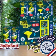 Gecko Run-Big Pack/Starter Set/Loop/Snake/Trampoline/Twister by KOSMOS STEM Free Gift Wrapping [Boar