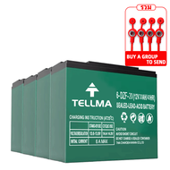 TELLMA แบตเตอรี่แห้ง แท้ แบตรถไฟฟ้า 48v แบตเตอร์รี่รถไฟฟ้า แบตเตอรี่ตะกั่ว12V/20ah