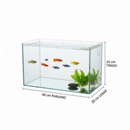 Fish aquarium size 40x20x25