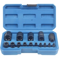15pcs External Torx Plus Socket Set,6 point E-Torx Star Torque Socket Set,Cr-v steel EP4-24 with 1/2