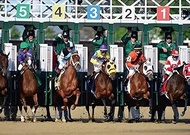 Kentucky Derby Photo Booth Backdrop Churchill Downs Jockey Horse Racing Themed Party Photography Bac