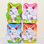 [FREE BUBBLE+Box] Coin Box Mini Piggy Bank Key Padlock Animal Rabbit P-20