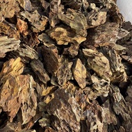 1kg Dragon / Ohko Stone Aquarium Aquascaping Paludarium Vivarium Hardscape Material