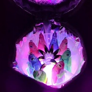 UV Squid Jig Fill Light Accumulator for Squid Lure Sea Fishing Accessories Squid Light Charger Fishi