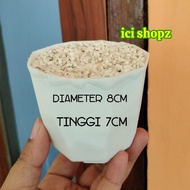 8cm Gem Pot Instat Pot + Foam and Stone