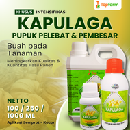Pupuk Buah Super Lebat Kapulaga / Pupuk Pelebat Buah Kapulaga / Pupuk Buah Kapulaga / Pupuk Tanaman