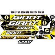 Striping FOR GIANT BIKE STICKER VARIATION