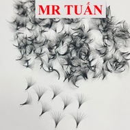 Mi fan Hand 20D 0.03 Curvature Thickness (C.D) Box 500Fan _mi fan Exports Eyelash Extensions _ Mi fan -Mr Tuan