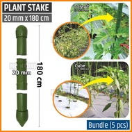 5 PCS PLANT STAKE / AJIR TANAMAN - TAKIRON - 20 MM X 180 CM