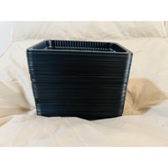 Food Tray Fruits Without Lids Can Be Used To Wrap Food. Microwaveable Factory Standard 175x128x18 -0