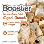 LGD PETS Chicken Cube 500G Cubes Booster Gemuk Kucing Premium Cat Booster Chicken Cube For Cat Cat T