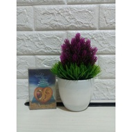 Cassette Ari Lasso See, Quizure, Hoarse