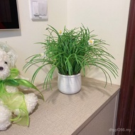 Bedroom Decorations Decorative Fresh Potted Plants Beautiful Home Desktop Small Potted Green Plants 