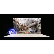 3d painting. stickers for aquariums, arowana fish tanks (back painting)