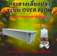 กระถางเลี้ยงปลา overflow แถมซุปเปอร์กรองฟรี กะบะเลี้ยงปลา อ่างเลี้ยงปลา อ่างเลี้ยงปลาเมกาดะ อ่างเลี้