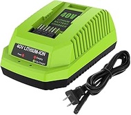 40V Charger Replacement Greenworks 40V Battery Charger Compatible with G-MAX 40V Battery 29462 and 2