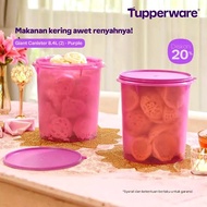 GIANT CANISTER TUPPERWARE