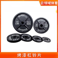 Weightlifting grip plates, cast iron barbell plates, large hole plates for strength training Painted