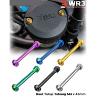 WR3 Titanium Tube Cap Bolt - WR3 & Brembo M4 x 45mm Tube Bolt