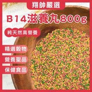 比利時凡賽爾 | Nutribird B14滋養丸 | 原裝 | 鸚鵡飼料 | 中、小型鸚鵡| 歐樂斯 |翔帥寵物生活館