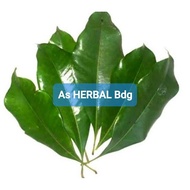 Fresh Clovedaun 300 grams clove tree leaf/-az