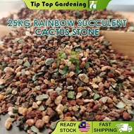 25kg Rainbow Succulent Cactus Stone Garden Soil Growing Media Tanah Kaktus Sukulen Granular Soil 虹彩石