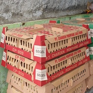 DOC Ayam Petelur CP 909 Super Vaksin Charoen Pokphand