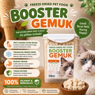 Booster Gemuk  Chicken Cube 500g
