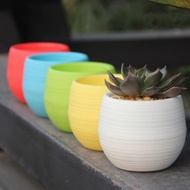 Pot Bunga Hias Mini Tanaman Kaktus 5pcs Pot Plastik Mini Unik Terbaru