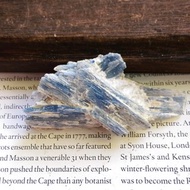 Kyanite 安徽產地 藍晶石 石英共生礦 天然礦石 原礦