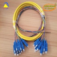 【優選】SC/UPC-SC/UPC單模12芯室內束狀 子纜0.9mm光纜 光纖跳線 長度3米