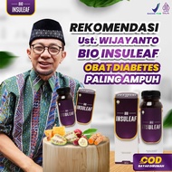 BIO INSULEAF - Insulin Herbal Alami Cegah dan Atasi Masalah Kencing Manis Diabetes Militus Turunkan