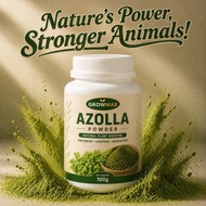 Azolla Powder Natural Plant Feed Additive Poultry Livestock Aquaculture Growth Support Feed Mix LOS