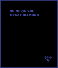 結束 少時 泰妍 FLYING PETALS 2016 EDITION PACK SHINE ON YOU CRAZY 