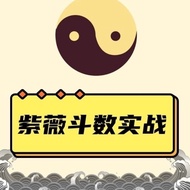 【百度网盘账户 发货！】  郭子谊紫微47集   30天从零基础到实战 国学   爆款vip 141319