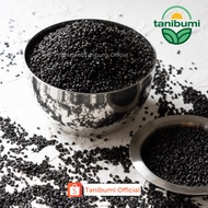 Premium Basil Seeds | 100g | Basil Seed