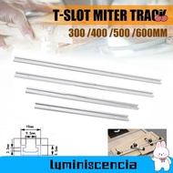 LUMINISCENCIA 1Pcs T-Track, 300-600mm Aluminium Alloy T-Slot Track, T Slider Fixture Slot Slide 19 T
