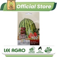 JT132 WATERMELON DRAGON BIJI BENIH SAYUR BUAH (10 SEEDS)/WATERMELON DRAGON BIG MAMA SEED VEGETABLE F