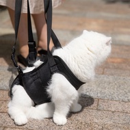 Cat Walking Auxiliary Belt