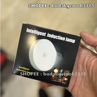 Rechargeable Sensor Night Light, Motion Sensor Light, USB Charging LED Night, LED Motion Sensor Nigh